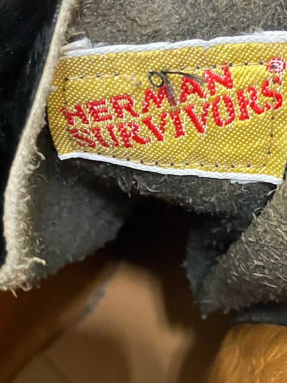 Herman Survivor size great